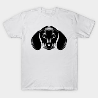 dachshund / sausage dog / head T-Shirt